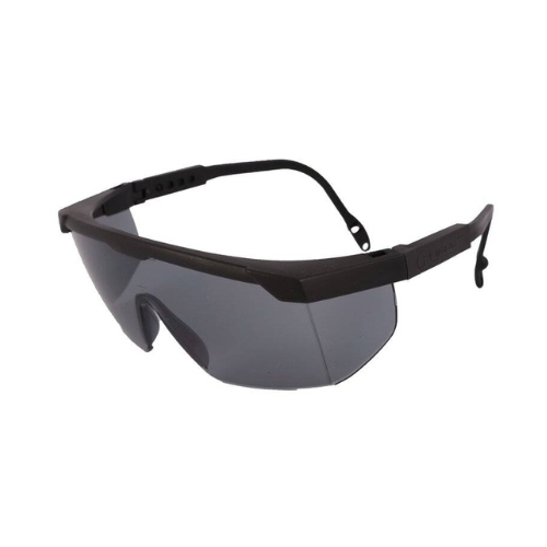 Anteojo Libus Argon Gris 900494